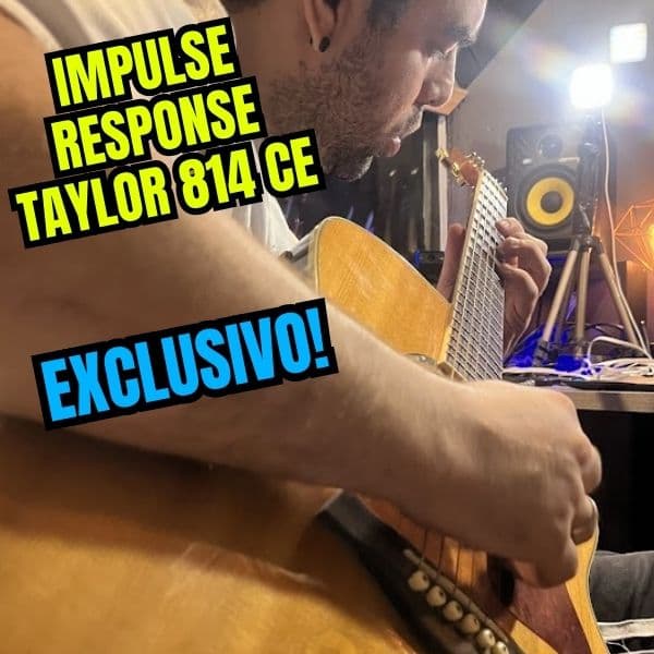 Impulse Response Taylor 814 CE Exclusivo!